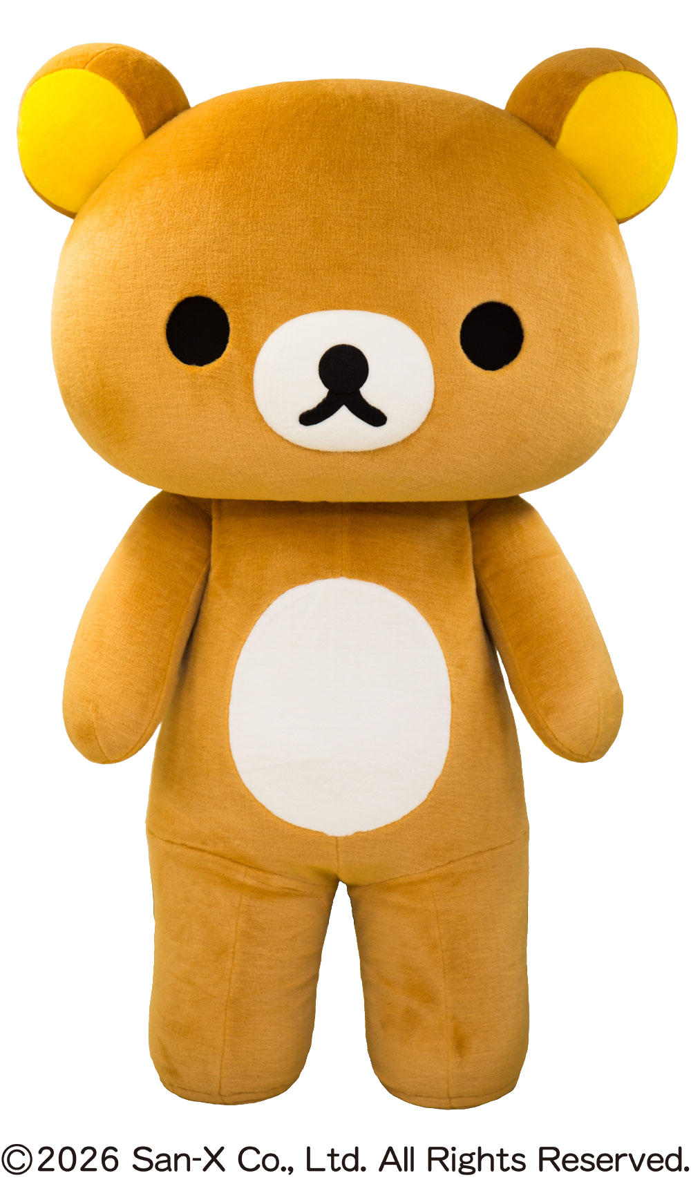 メインイメージ