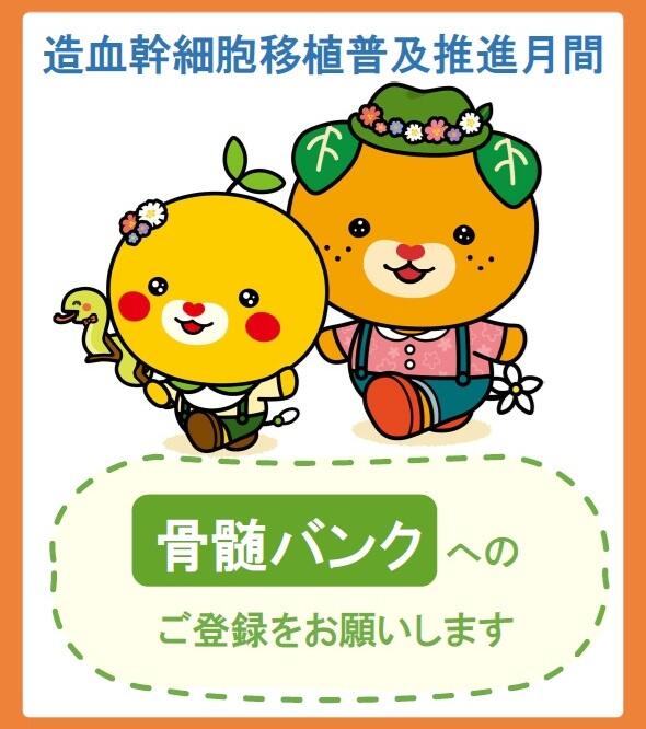 メインイメージ