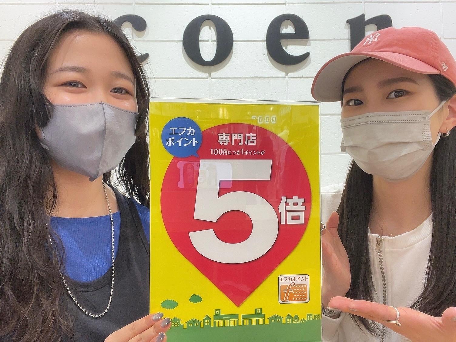 ★エミフル１７周年 エフカ５倍★