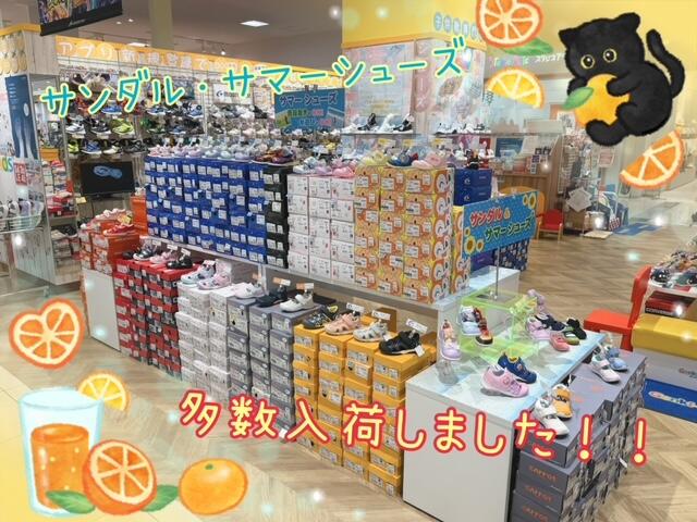 サンダル・サマーシューズ多数入荷いたしました！