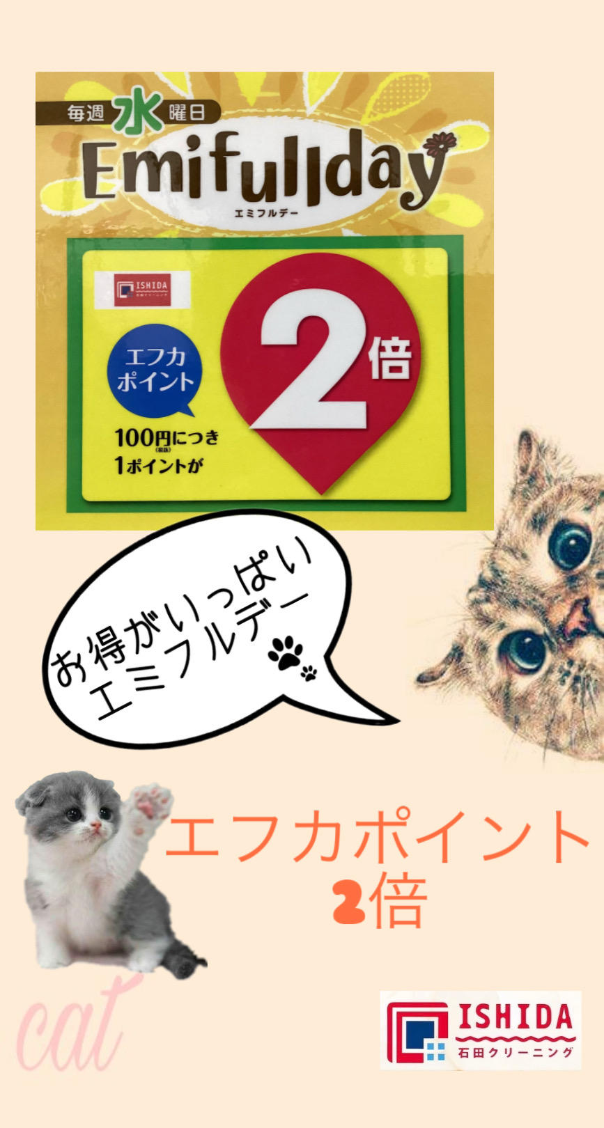 エミフルデー！！