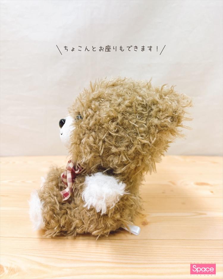 ちびくまちゃんインスタ (4)HP.jpg