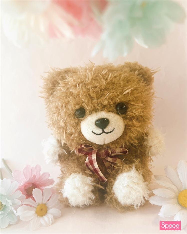 ちびくまちゃんインスタ (5)HP.jpg