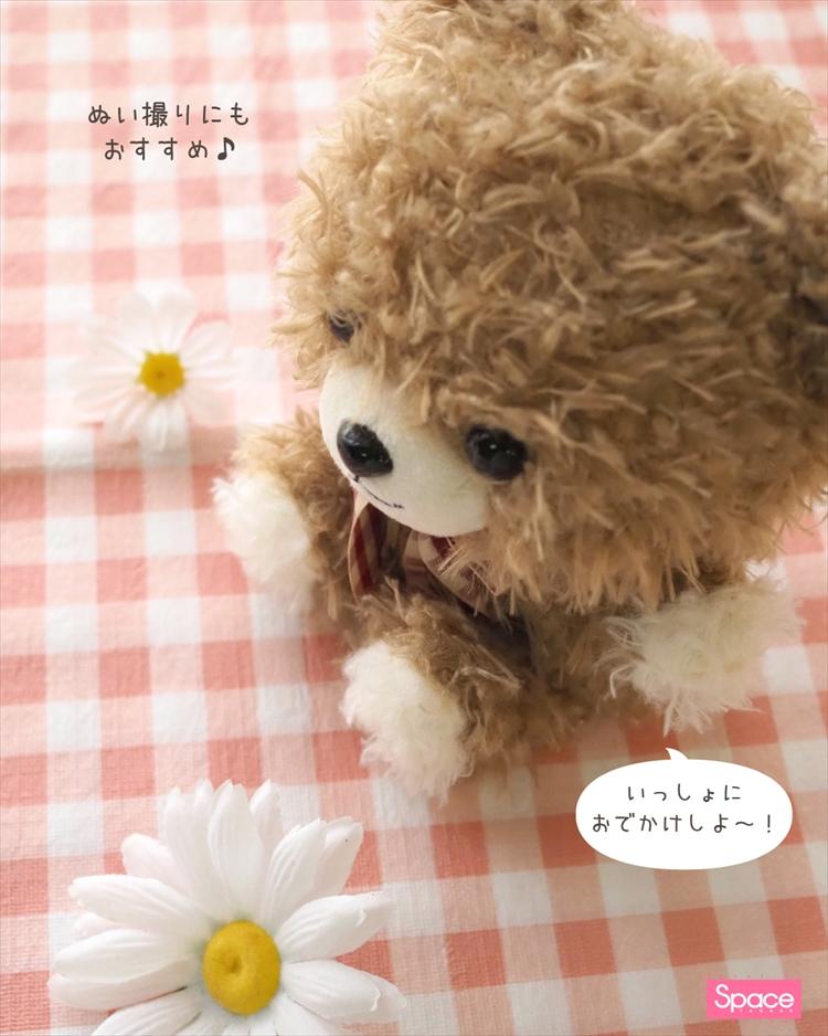 ちびくまちゃんインスタ (6)HP.jpg